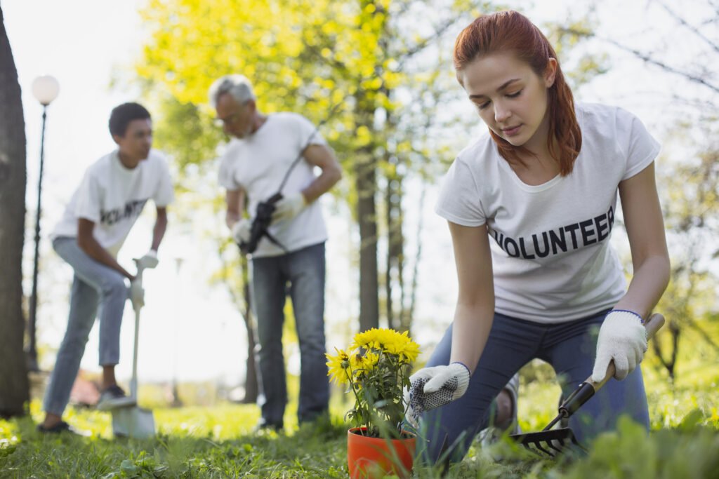 focused female volunteer planting flower